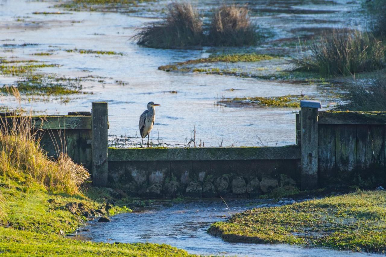 Appartement Seabird Zandvoort Exteriér fotografie