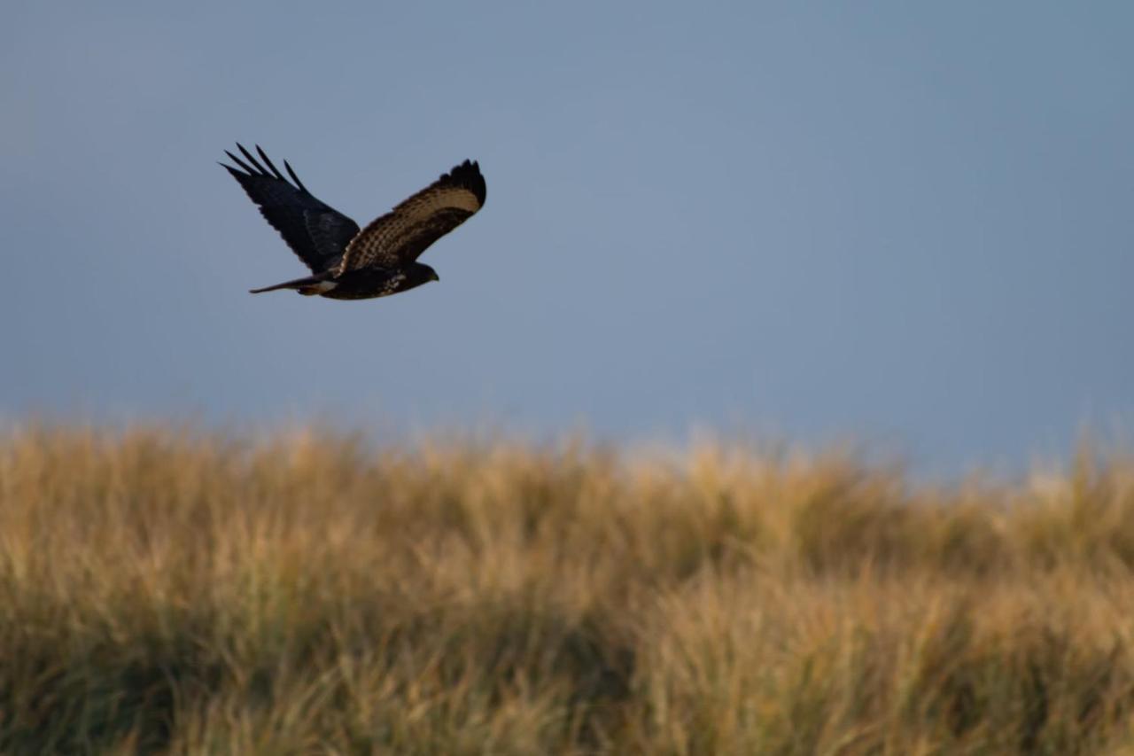 Appartement Seabird Zandvoort Exteriér fotografie