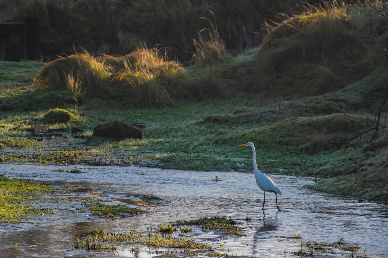 Appartement Seabird Zandvoort Exteriér fotografie